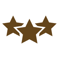 Icon 11